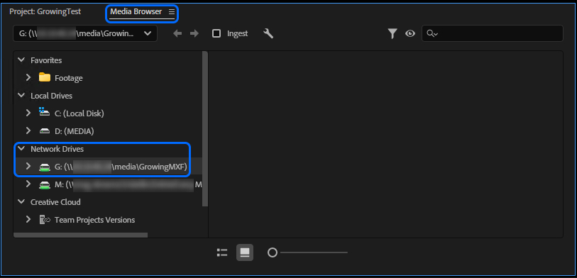 07-adobe_media-browser.jpg