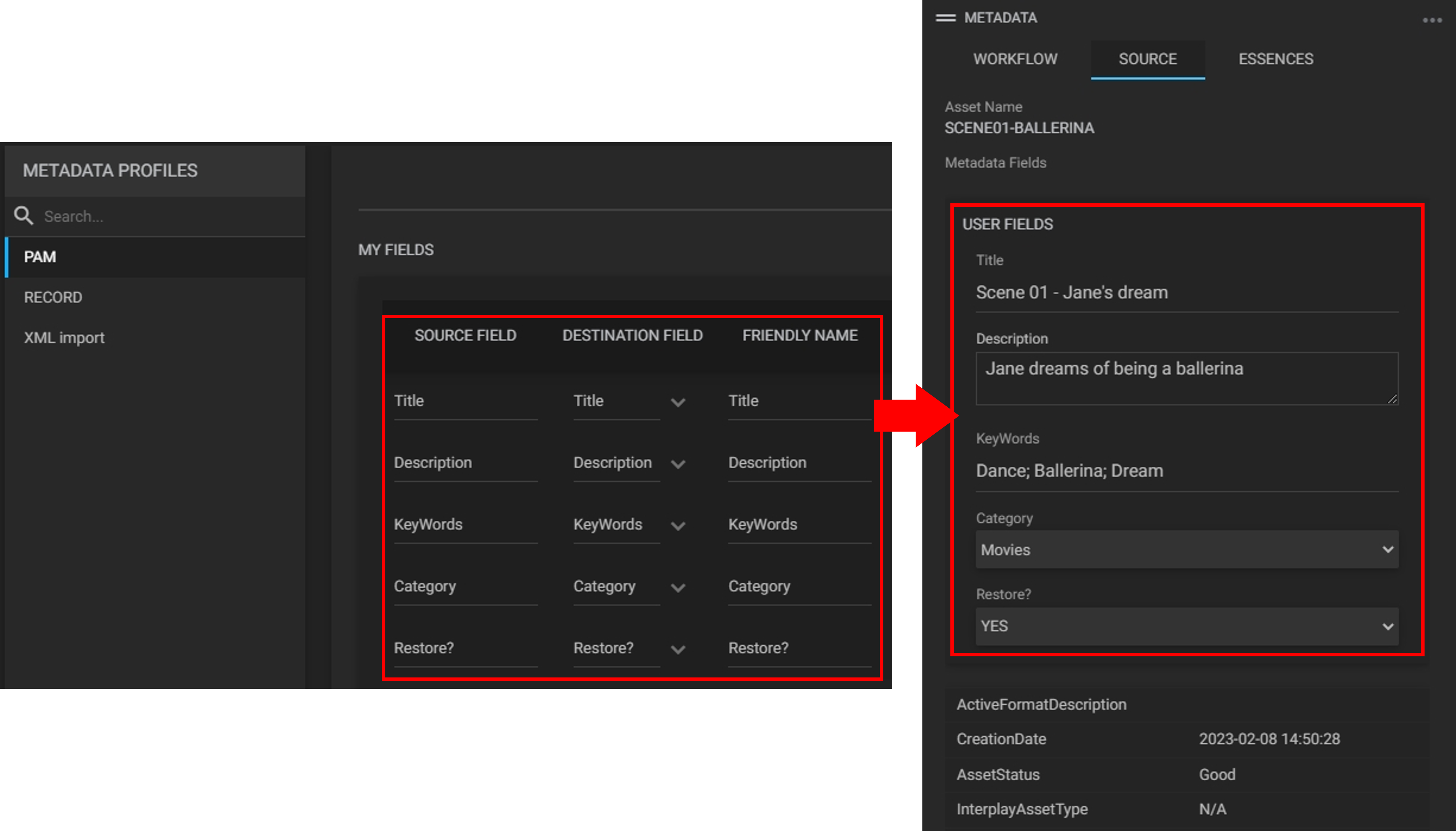 03-cataloging-metadata-widget-custom-fields.png