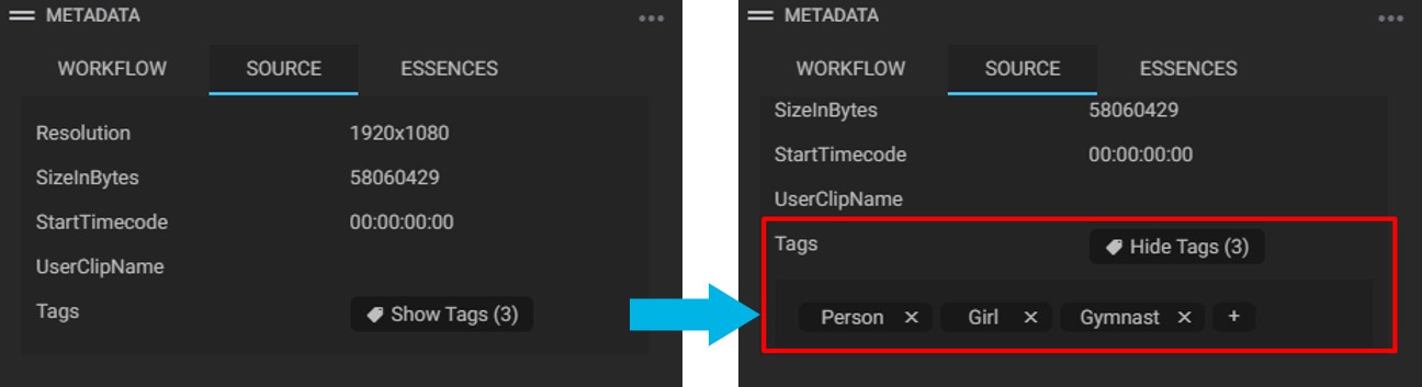 04-03-34-metadata-source-tags.jpg