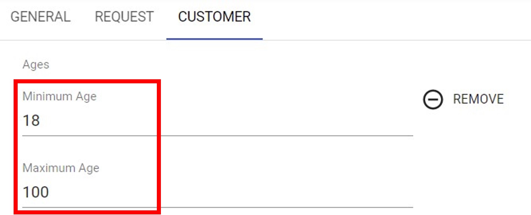 Audience Creation - Customer Tab